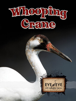 cover image of Whooping Cranes